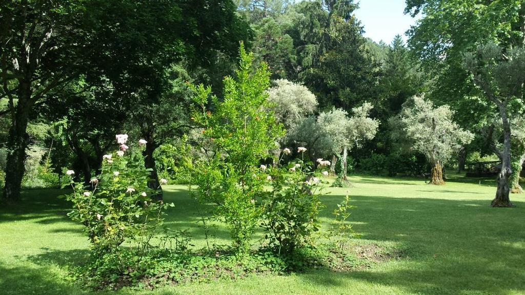 Rancho La Herradura Arenas de San Pedro Szoba fotó