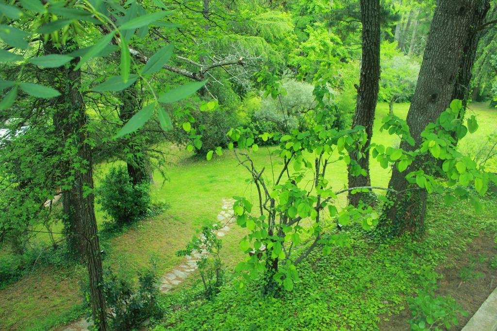 Rancho La Herradura Arenas de San Pedro Szoba fotó