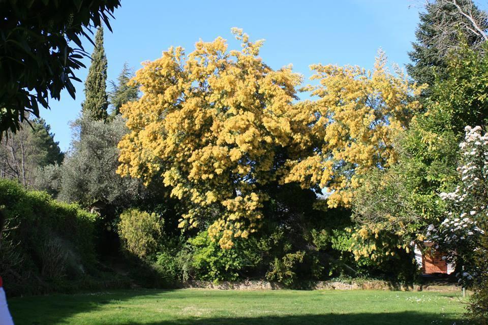 Rancho La Herradura Arenas de San Pedro Szoba fotó